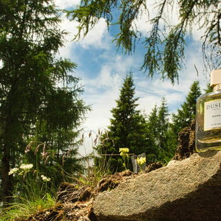 Niedersteinalm - Südtirol -- habt Dank für eure lieben Worte