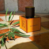 Moschus fließt durch seine Adern. 🐅 Zehengänger : Einzelkämpfer : Mit jedem Schritt dampft Sprit. Motoren laufen heiß,es rinnt Cuminschweiß. ☺️ DANKE allen. (by Seejungfrau)