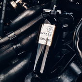 Für Fresh:) Motoraction (von ChatonNoir)