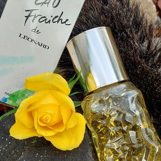 😊Die alten Schätze kommen ans Tageslicht😊