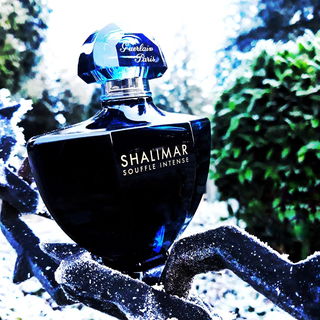 Shalimar Souffle Intense von Guerlain