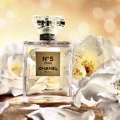 …… ganz herzlichen Dank für jedes einzelne tolle Lob und die wundervollen Worte zu diesem Foto ….  ich freu‘ mich riesig darüber, dass es gefällt 🥰 …. (by IrisNobile)