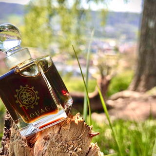 Seht Ihr die Ziege im Bild ? ;-))