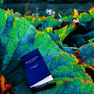 Gentleman Givenchy (Eau de Toilette Intense) - Givenchy