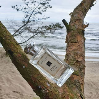 Wood Sage & Sea Salt (Cologne) von Jo Malone
