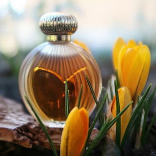 Nina (1987) (Eau de Toilette)