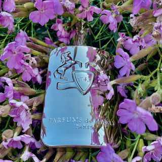 Pegasus von Parfums de Marly