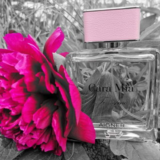 Das Wesentliche - Ich wünsche allen hiermit angenehme und sonnige Pfingsten.