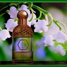 Aqua Allegoria Lilia Bella - Guerlain