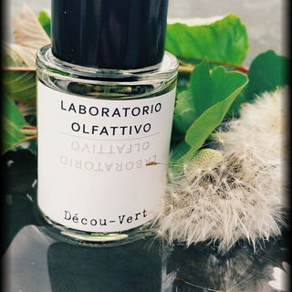 Daunenflaum flieg...ich wünsch dir eine grüne Wiese...