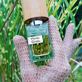 Hindu Grass (Extrait de Parfum) - Nasomatto