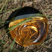 in meinem Garten aufgenommen :-) (von ElenaN)