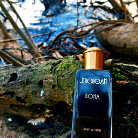 Boha - Jeroboam