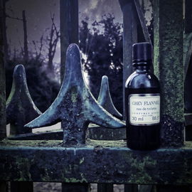 Grey Flannel (Eau de Toilette) - Geoffrey Beene