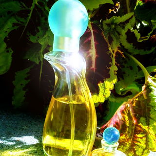 Wings (Eau de Toilette) - Giorgio Beverly Hills