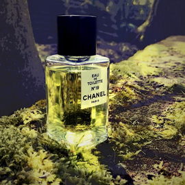 N°19 (Eau de Toilette) - Chanel