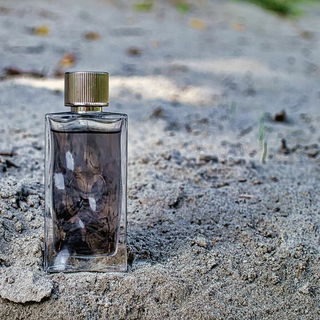 First Instinct Man (Eau de Toilette) - Abercrombie & Fitch