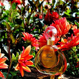 First (Eau de Parfum) - Van Cleef & Arpels