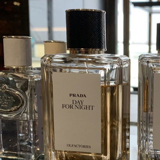 Day for Night by Prada