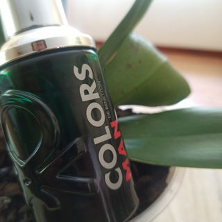 Colors de Benetton Man Green von Benetton