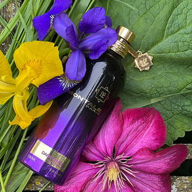 Dark Vanilla - Montale
