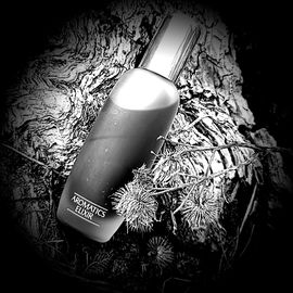 Aromatics Elixir (Eau de Toilette) - Clinique