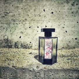 Wem die Natur ihr offenbares Geheimnis zu enthüllen anfängt, der empfindet eine unwiderstehliche Sehnsucht nach ihrer würdigsten Auslegerin, der Kunst. - Goethe