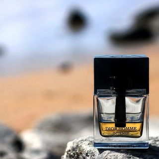 Dior Homme Intense (2011) - Dior
