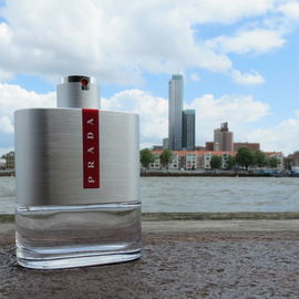 Scent City