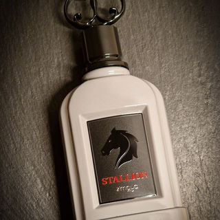 Stallion - Zimaya