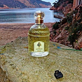 Eau de Guerlain de Guerlain www.perfumeriabenegas.com