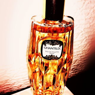 Chantilly (Eau de Toilette) - Dana