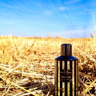 Lemon Line - Mancera