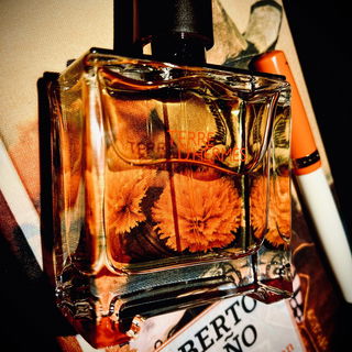 Terre d'Hermès (Parfum)