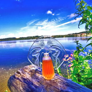 Was die Beiden wohl wieder aushecken?