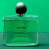 Cedrus atlantica: Grüner Baum auf roter Liste (von TomLavender)