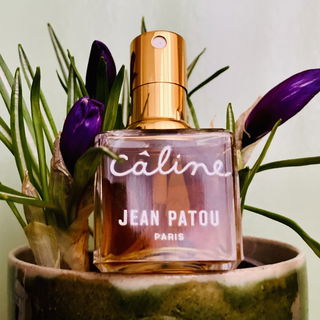 Câline (Parfum)