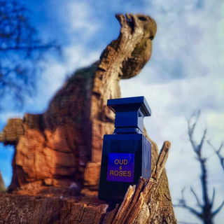 Oud & Roses / عود و روز (Eau de Parfum) - Ahmed Al Maghribi