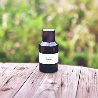 Marcel by Marie Jeanne