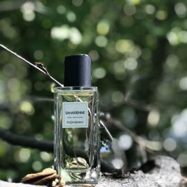 Saharienne (2015) - Yves Saint Laurent