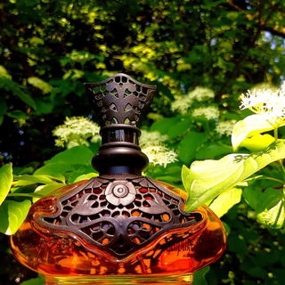 Guipure & Silk - Jeanne Arthes