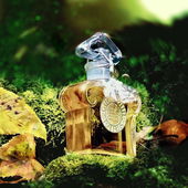 ..... zwischen den grauen Tagen .... danke für die Anregung lieber Freshy :)) (by IrisNobile)