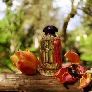 Onde Vertige - Giorgio Armani