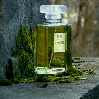 N°19 Poudré - Chanel