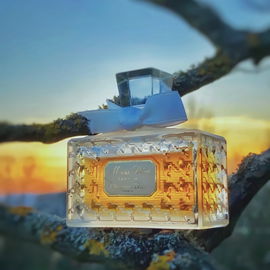...... im Sunset eines Frühlingsabends ......