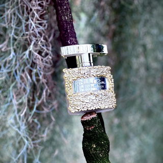 …📷🌍 Thank you. Danke schön. Merci beaucoup. Muchas gracias. Dōmo arigatō gozaimasu 💐…