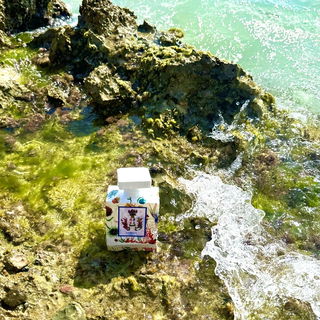 Acqua Viva - Profumum Roma