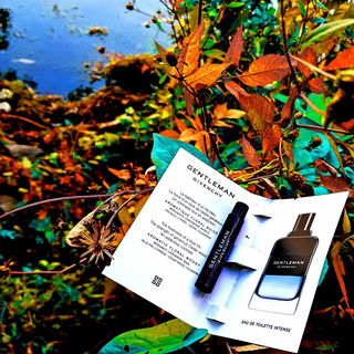 Gentleman Givenchy (Eau de Toilette Intense) - Givenchy