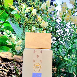 Bianco Latte - Giardini di Toscana