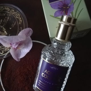 Saffron & Iris - 4711